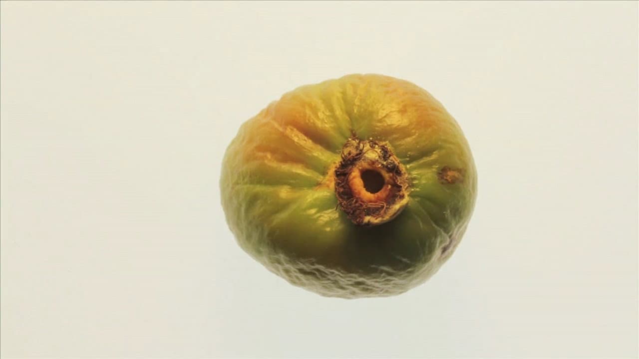 Äkkiä viime kesänä