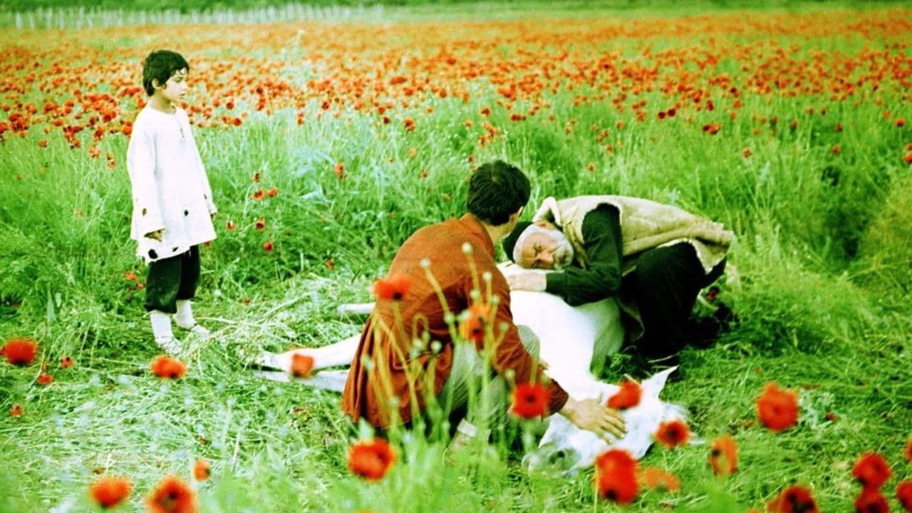 El árbol de los sueños