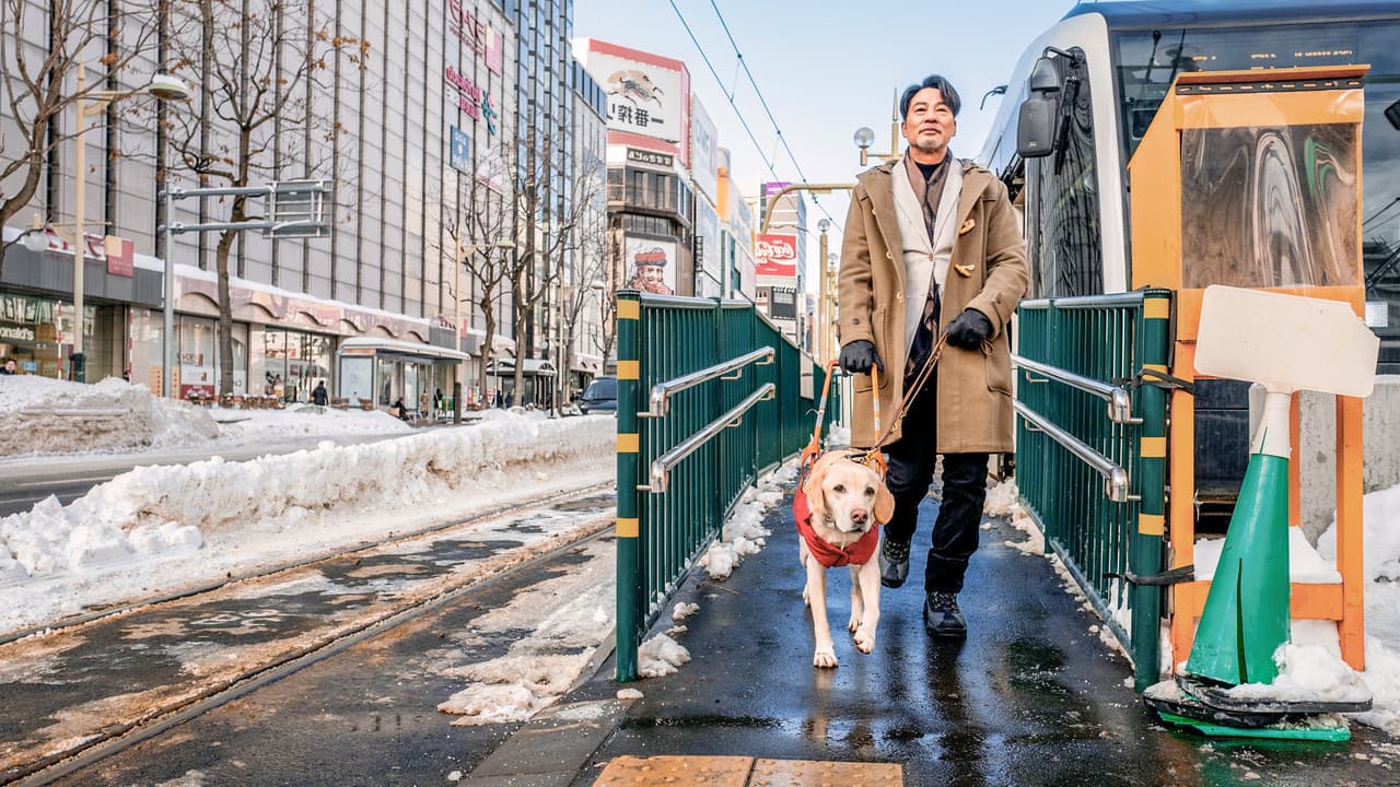 Little Q (Pequeña Q)