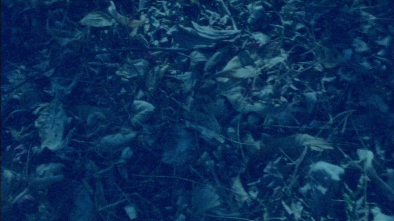 표면 기억 망각