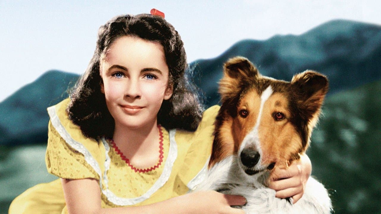 El coraje de Lassie