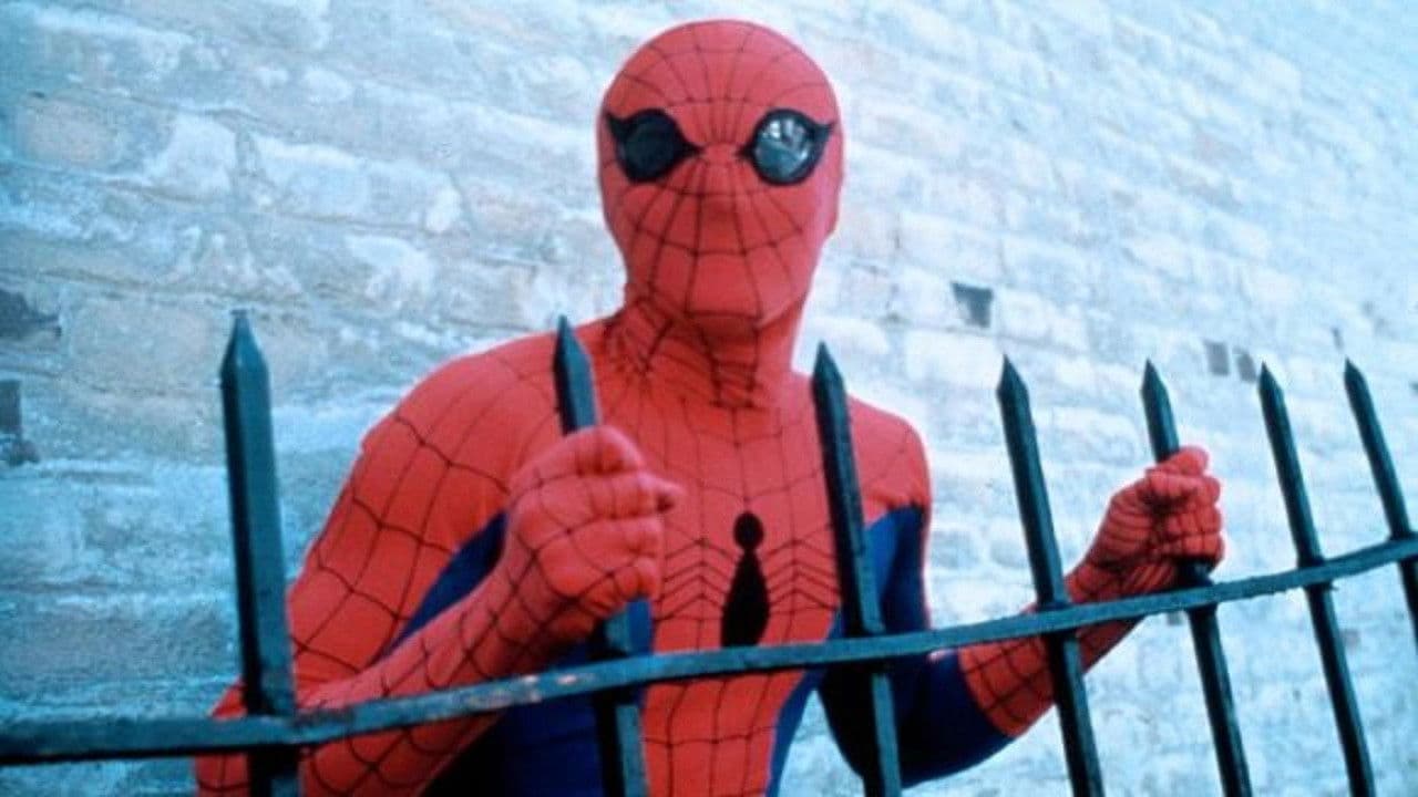 Spider-Man. El hombre araña