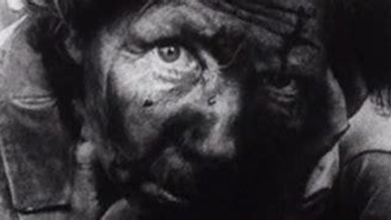 El juego de la guerra