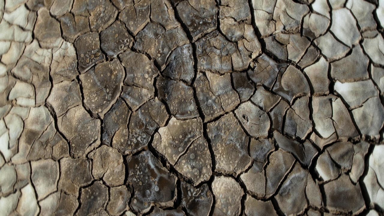 რას ჩურჩულებს ტალახი