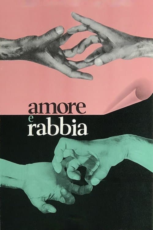 Amor y rabia