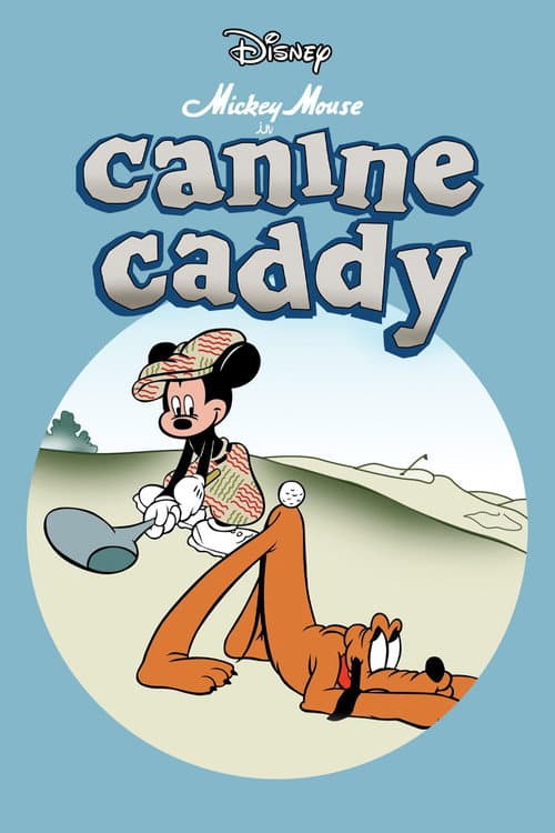 Un caddy canino