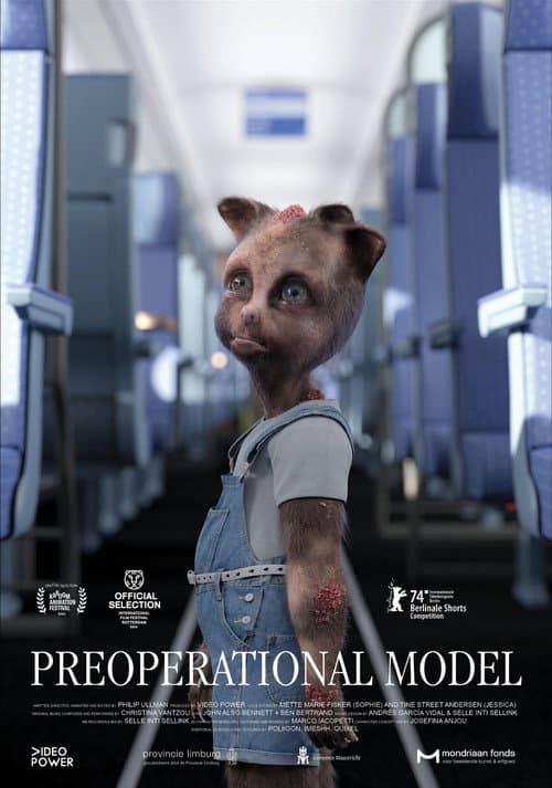 Modelo preoperacional