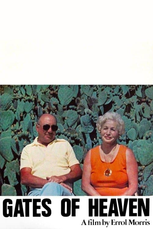 Las verjas del cielo