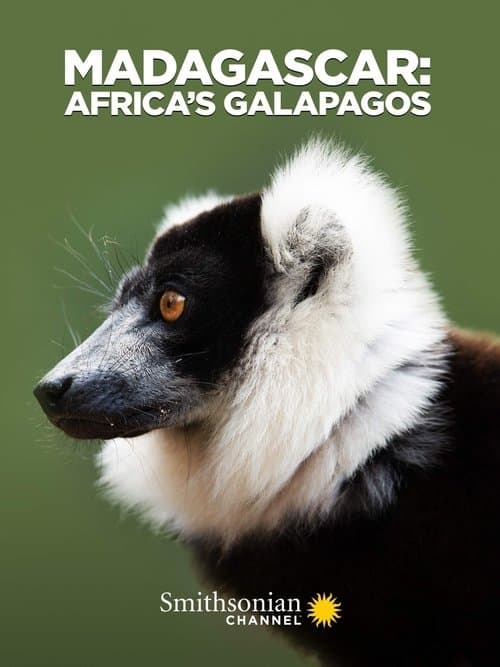 Madagascar: Las Galápagos de África