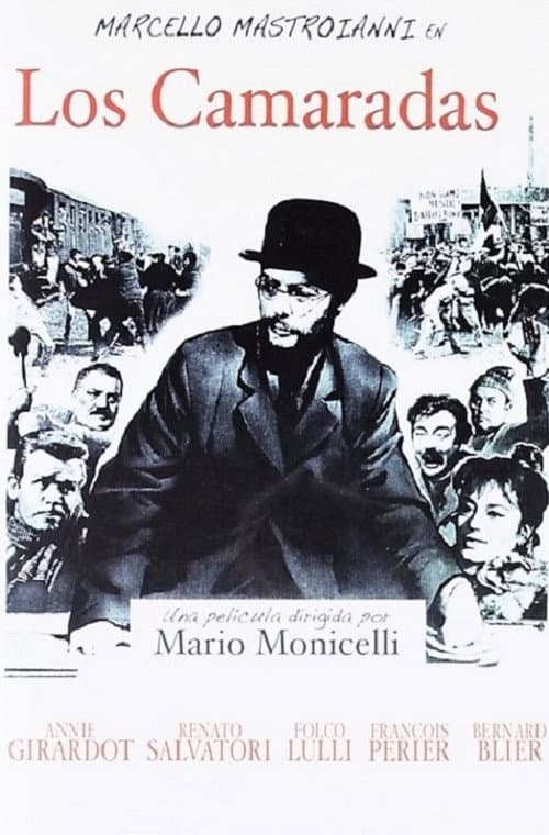 Los camaradas