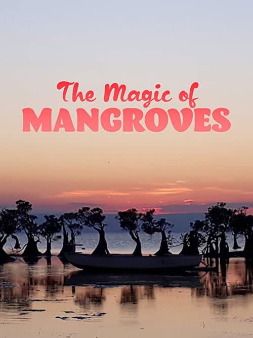 La magia de los manglares