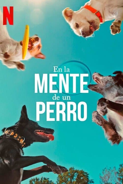 En la mente de un perro