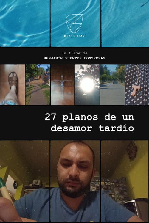 27 planos de un desamor tardío