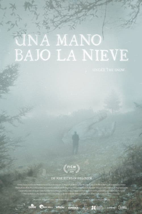 Una Mano Bajo La Nieve