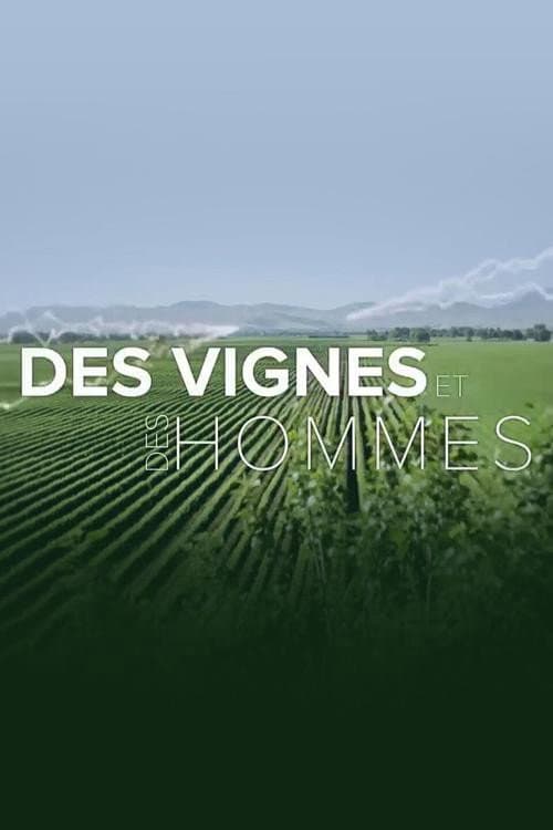 Des vignes et des hommes