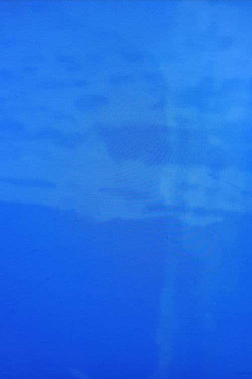 Les Yeux d'Alice Guy-Blaché