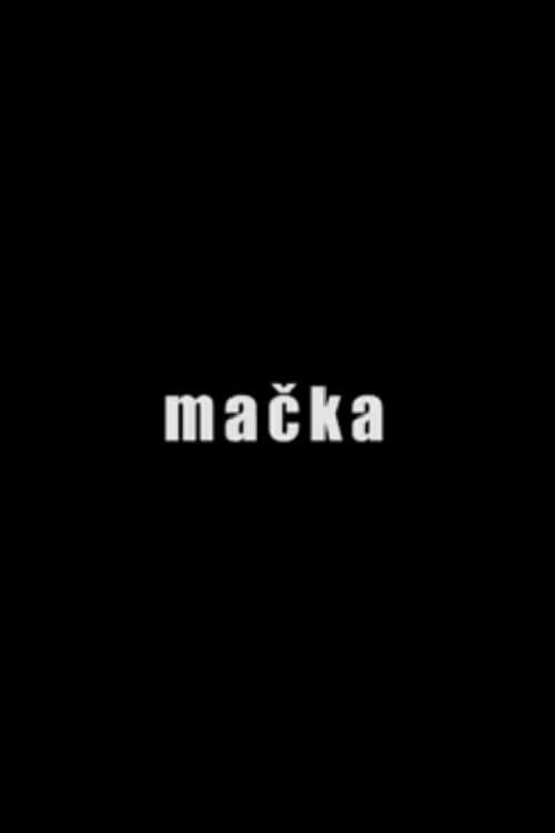 Mačka