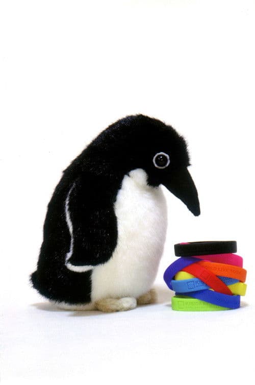 LITERAL WORLD LIVE TOUR / 岸田教団＆THE 明星ロケッツ