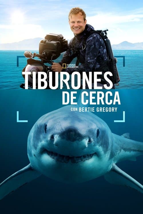 Tiburones de cerca con Bertie Gregory