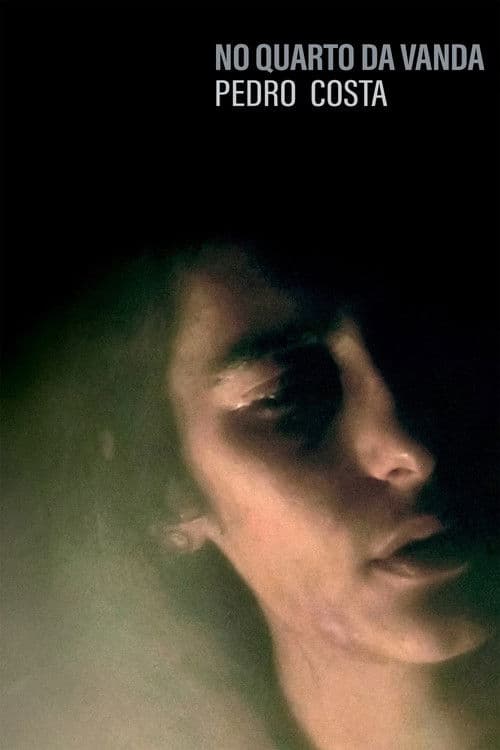 En el cuarto de Vanda