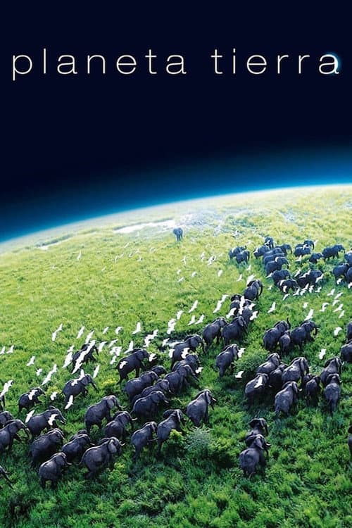 Planeta Tierra