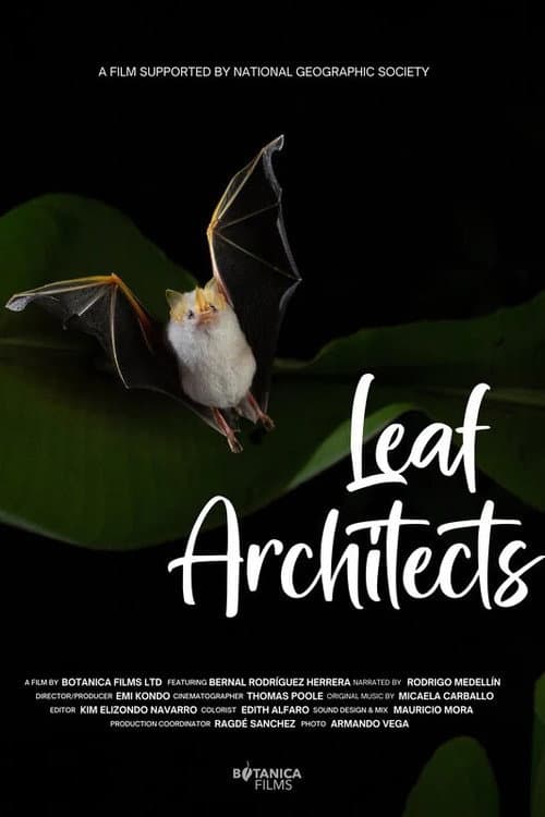 Arquitectos de las hojas
