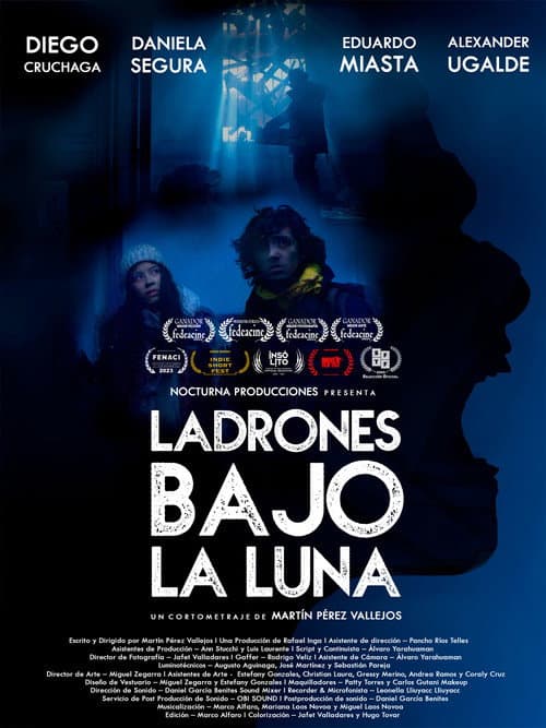 LADRONES BAJO LA LUNA