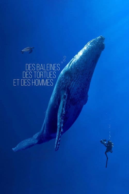 Ballenas, tortugas y hombres