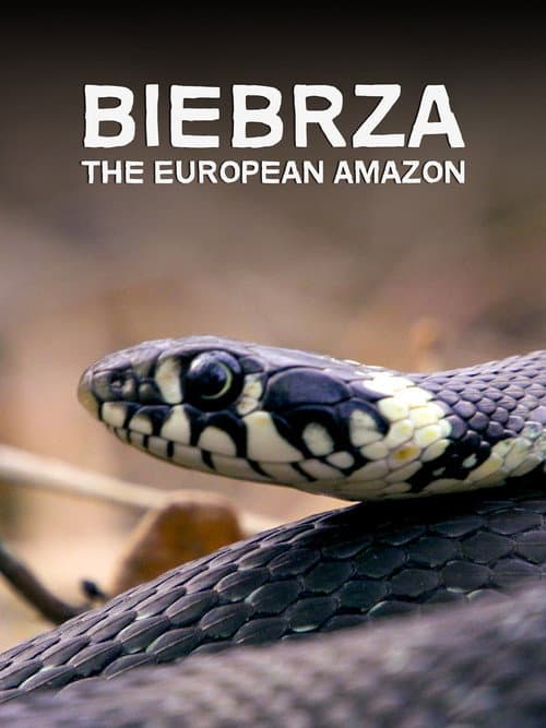 Biebrza. El amazonas Europeo