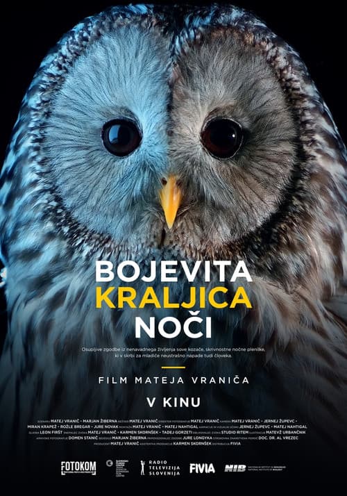 Bojevita kraljica noči