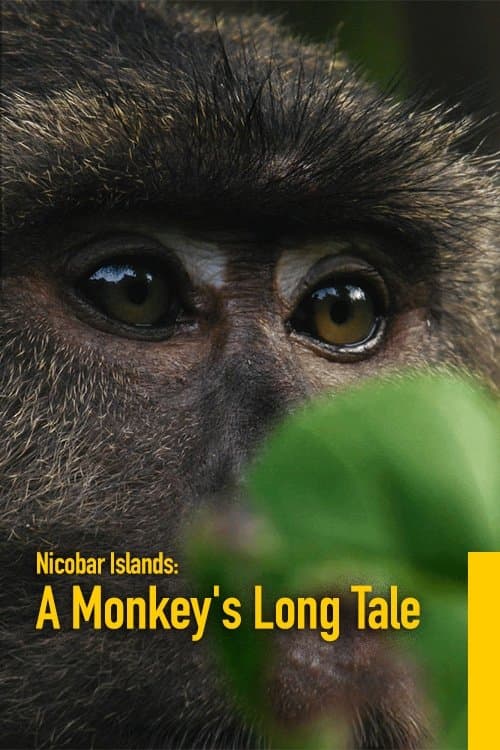 La belleza de las Islas Nicobar