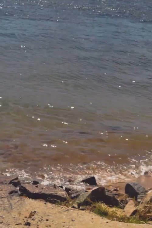 Rio, Memórias, Recomeços...