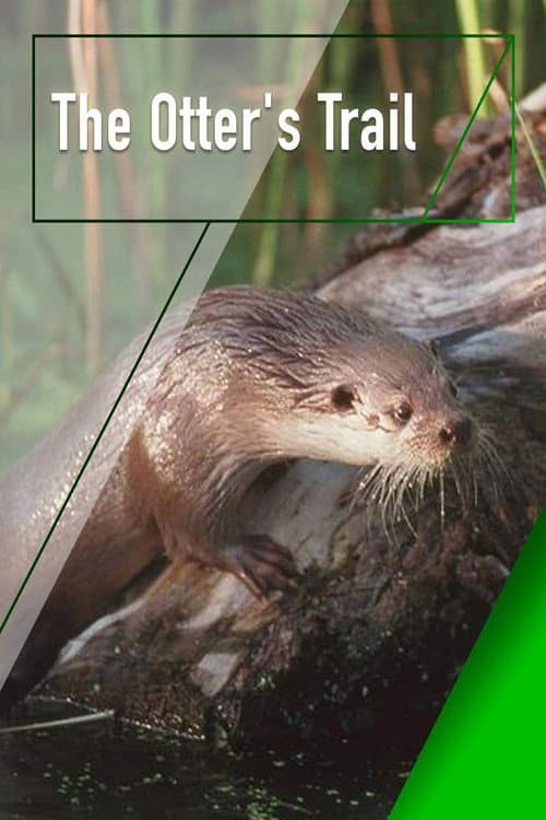 El Rastro de la Nutria