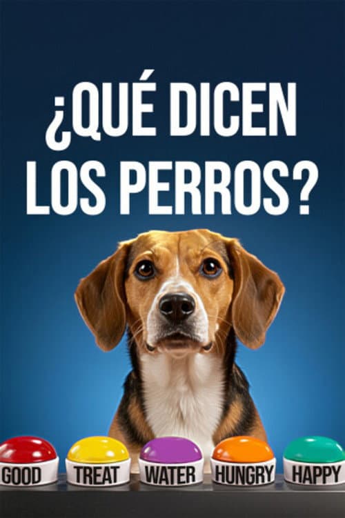 ¿Qué dicen los perros?