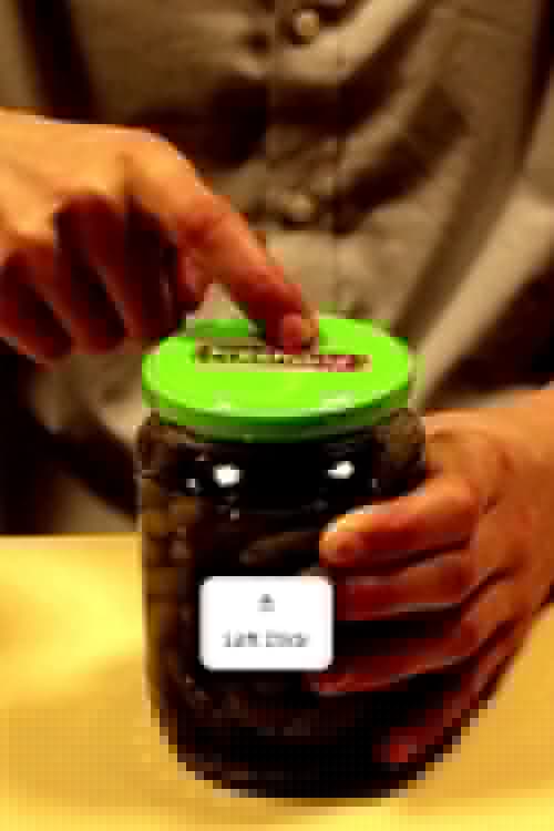 Picklesong