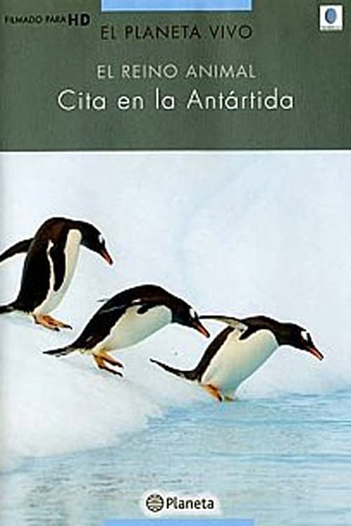 Cita en la Antártida