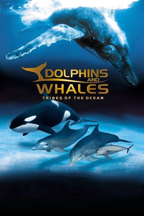 Delfines y ballenas - Tribus del océano
