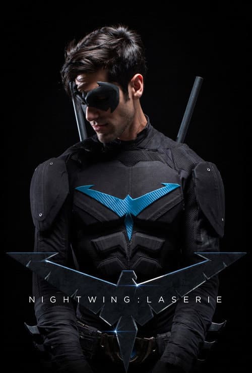 Nightwing: The Series