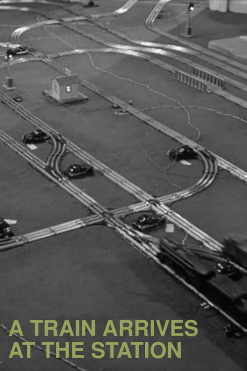 A Train Arrives at the Station