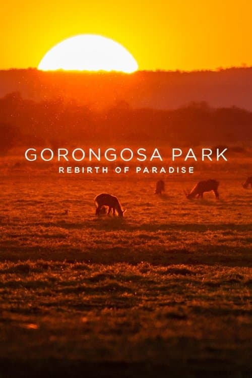 Gorongosa: El reino salveje de Africa