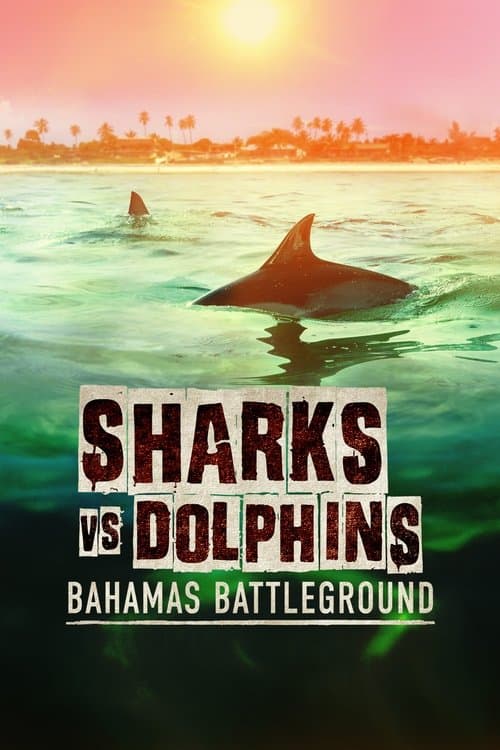 Tiburones vs delfines: batalla en las Bahamas