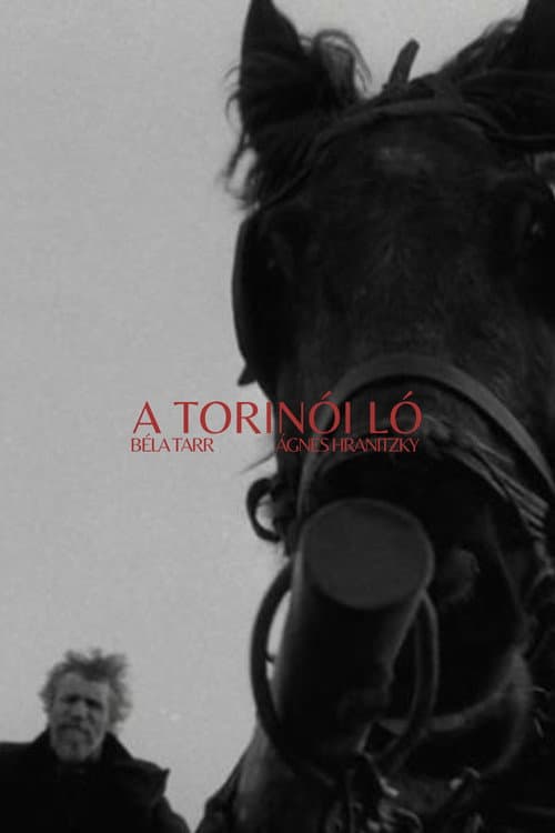 El caballo de Turín
