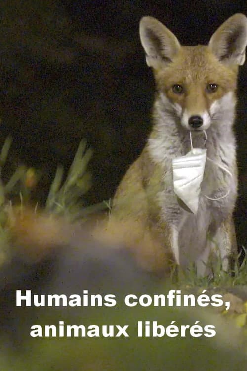 Menschen eingesperrt, Tiere befreit