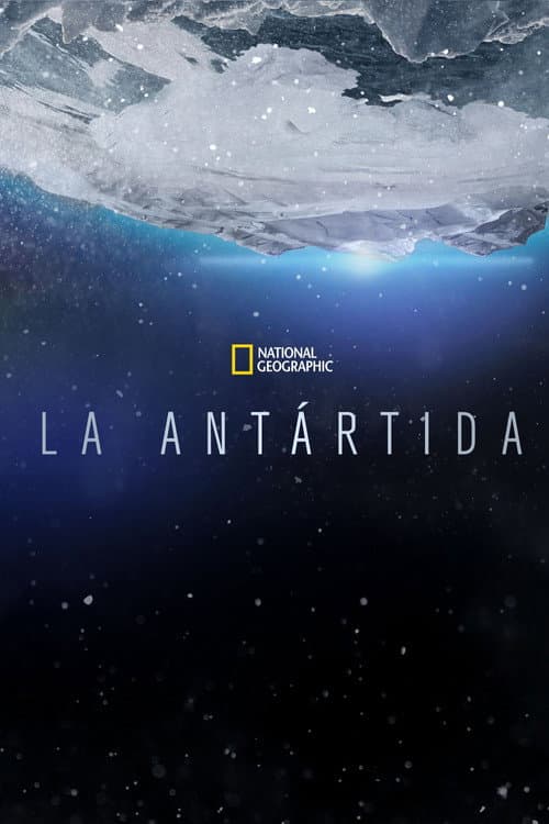 Continent 7: Antarctica