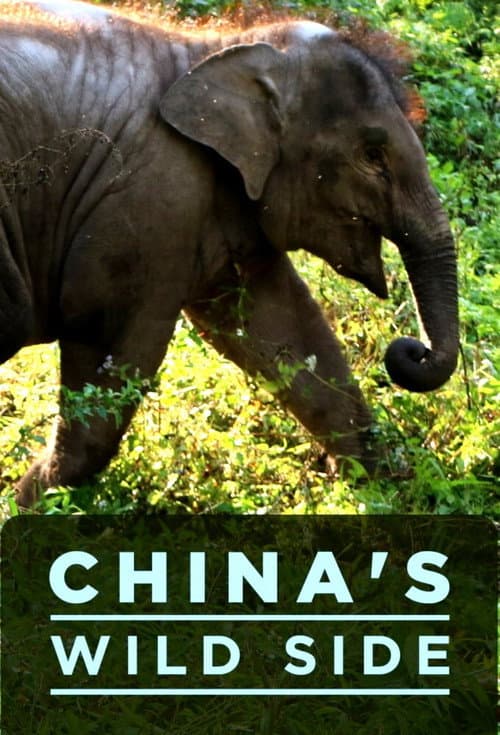 El lado salvaje de China