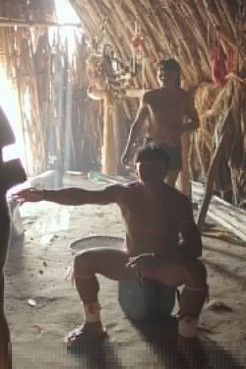 Arquivo Vivo