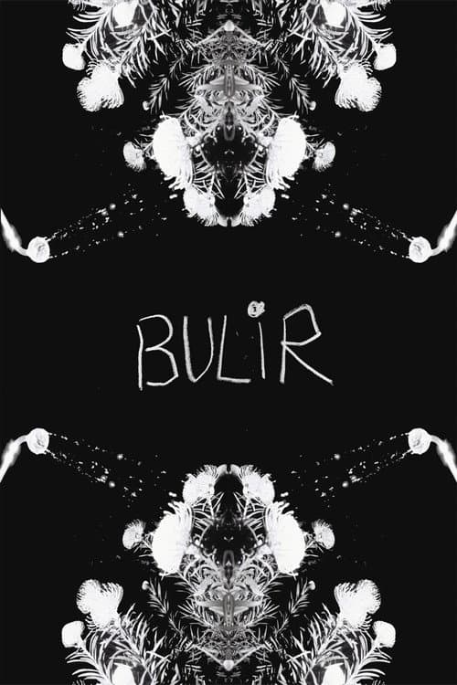 BULIR