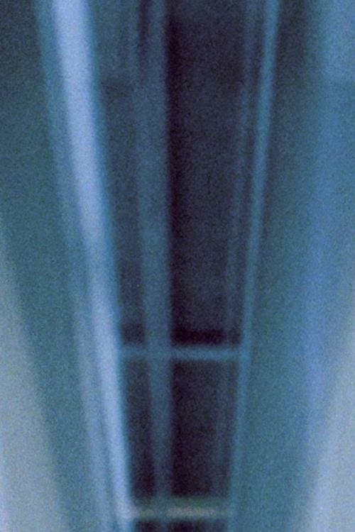 Untitled (Generali Foundation Vienna)