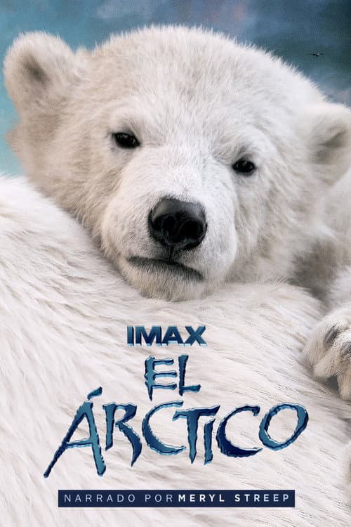 Osos Polares 3D: Ojos en el Hielo