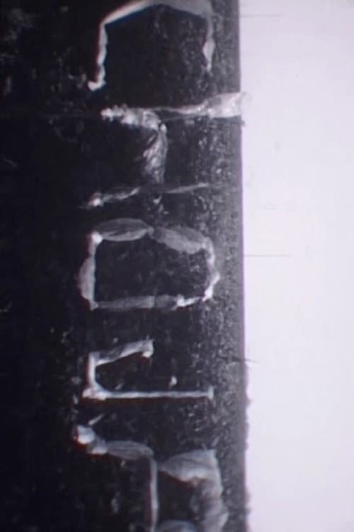 Chøja